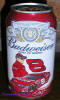 BUDWEISER - Dale Earnhardt Jr and his #8 car (2007)       # 660826