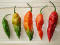 Stages of Maturity of the Bhut Jolokia